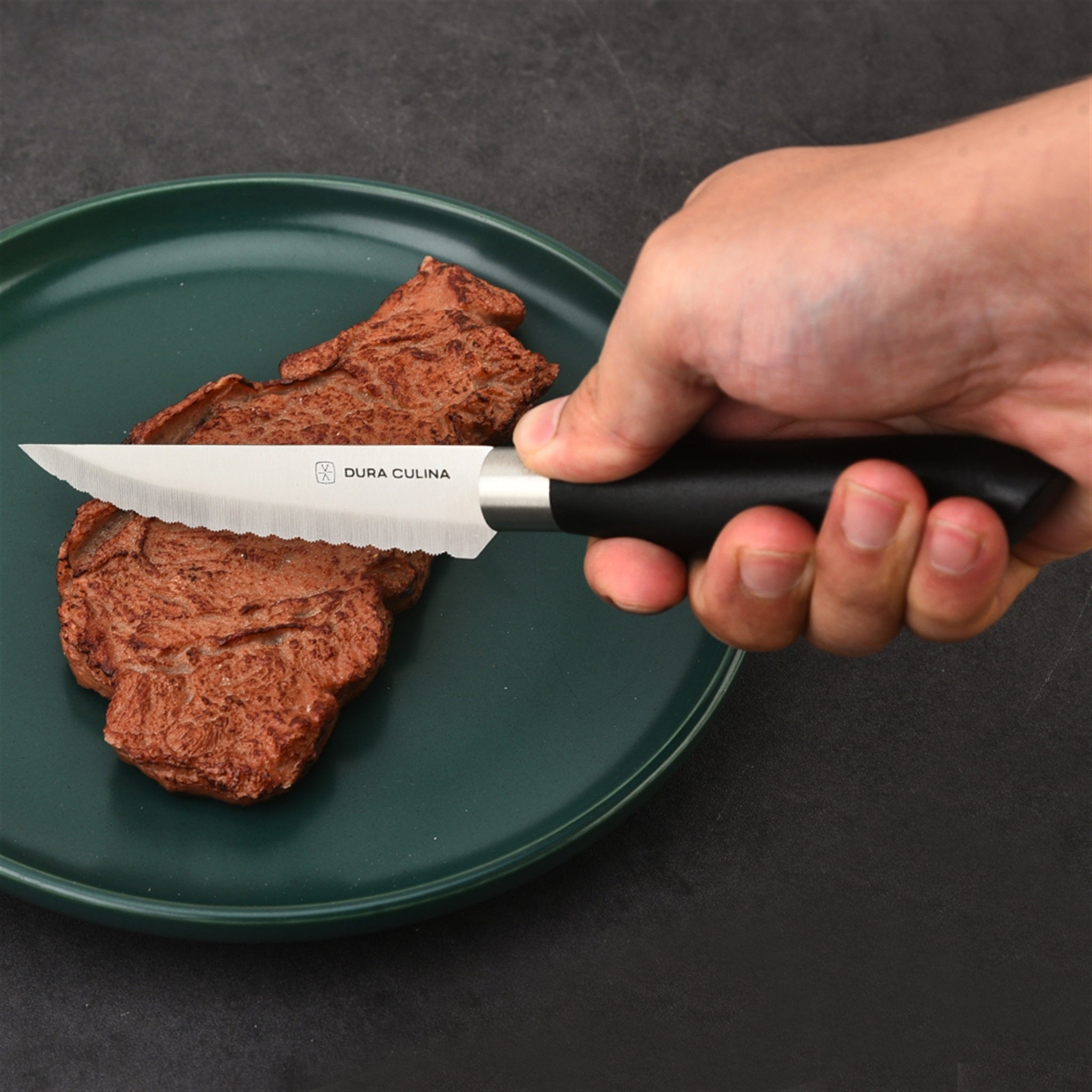 4 Piece Micro Serrated Kitchen Steak Knife Set