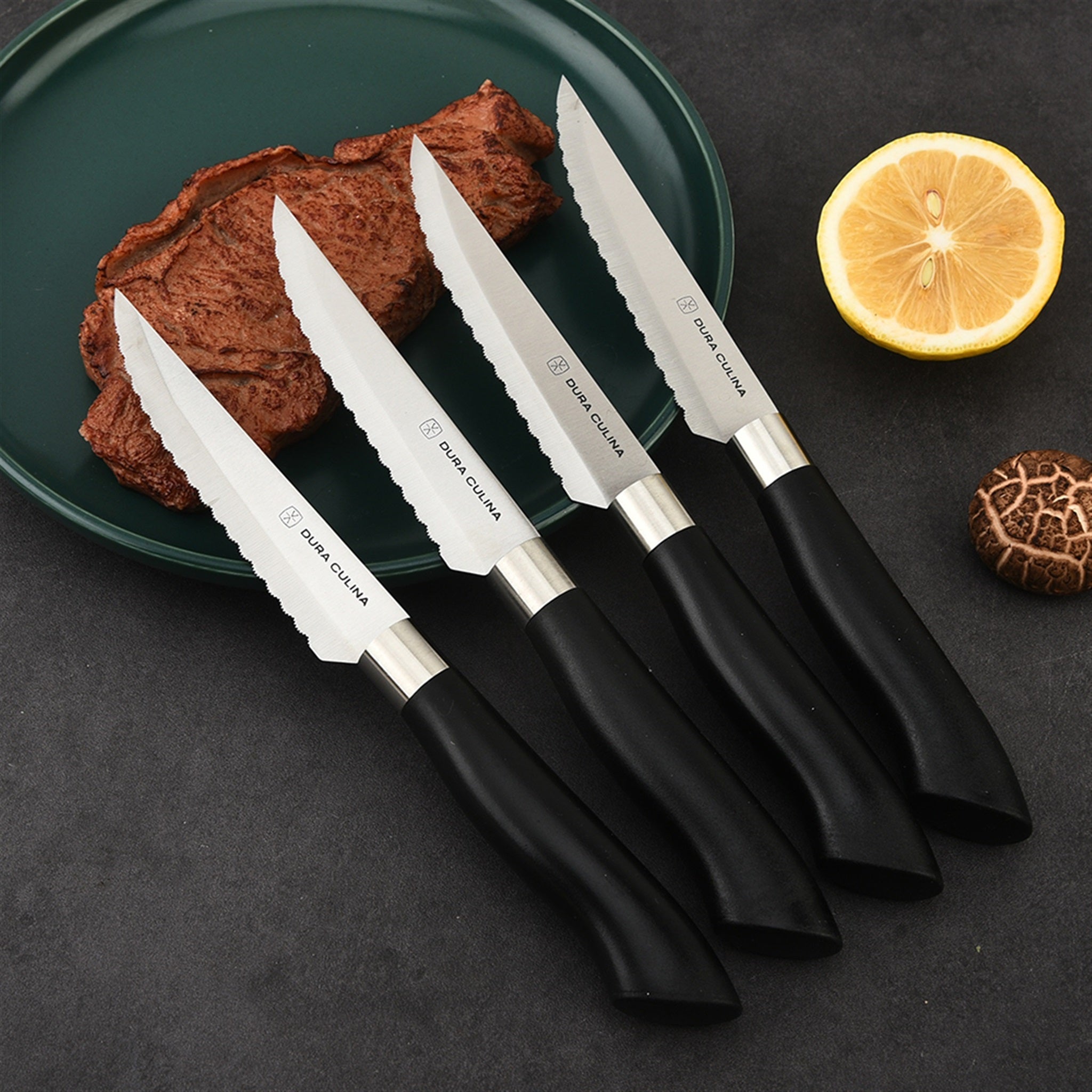4 Piece Micro Serrated Kitchen Steak Knife Set