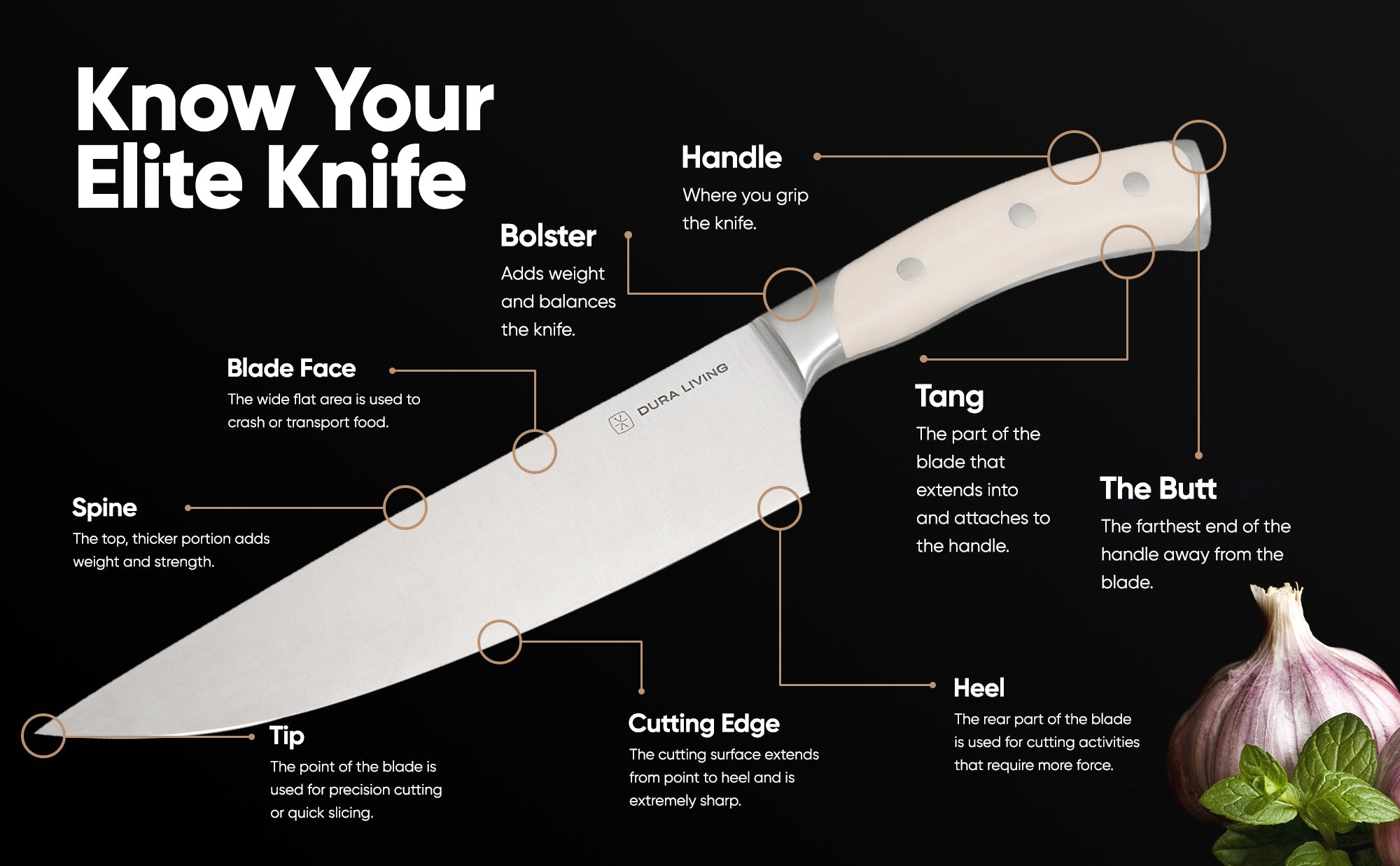 DURA LIVING Steak Knives - Serrated Steak Knife Set of 4 – Forged High  Carbon Stainless Steel – Full Tang – Ergonomic Handle Design, Royal Blue  Knife