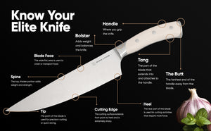 Anatomy of a Kitchen Knife: Understanding Its Essential Parts