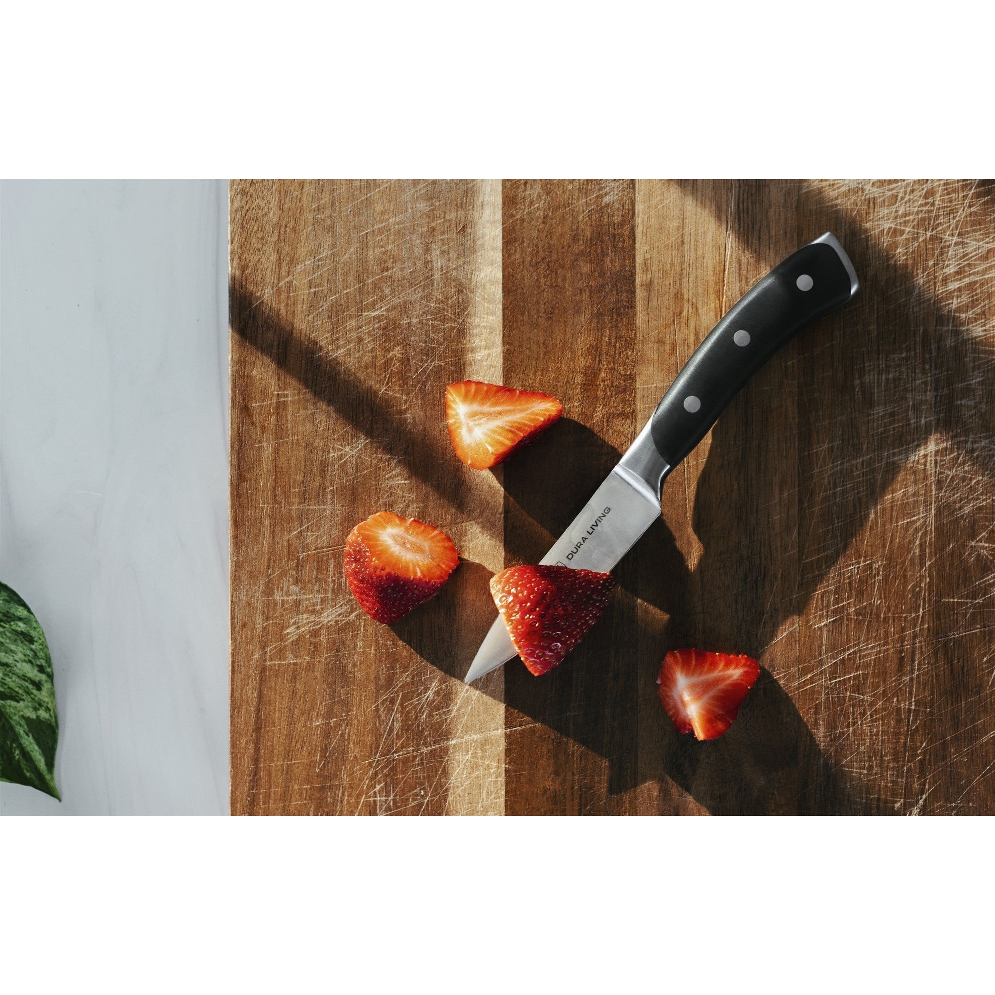 Elite 3.5 inch Paring Knife - Black – Lifestyle – Dura Living