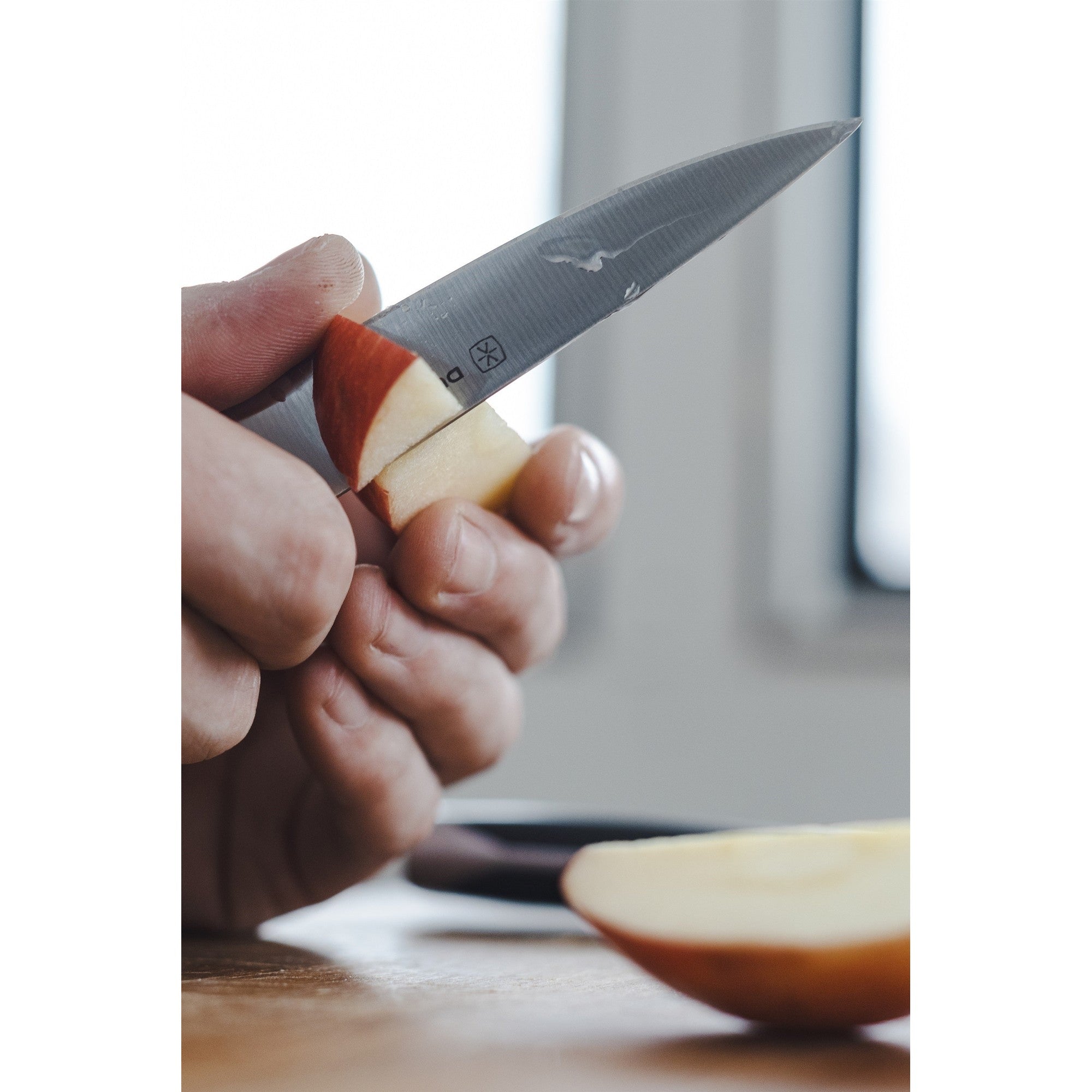 Superior 3.5 inch Paring Knife - Gray – Scale Reference – Dura Living